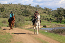 Portugal-Alentejo / Blue Coast-Bottlenose Escape